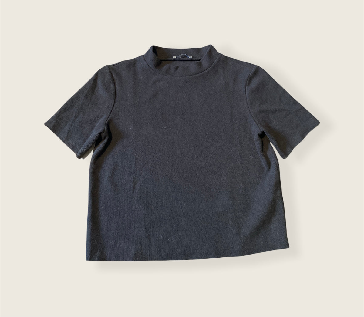 Zara Fall Winter Top